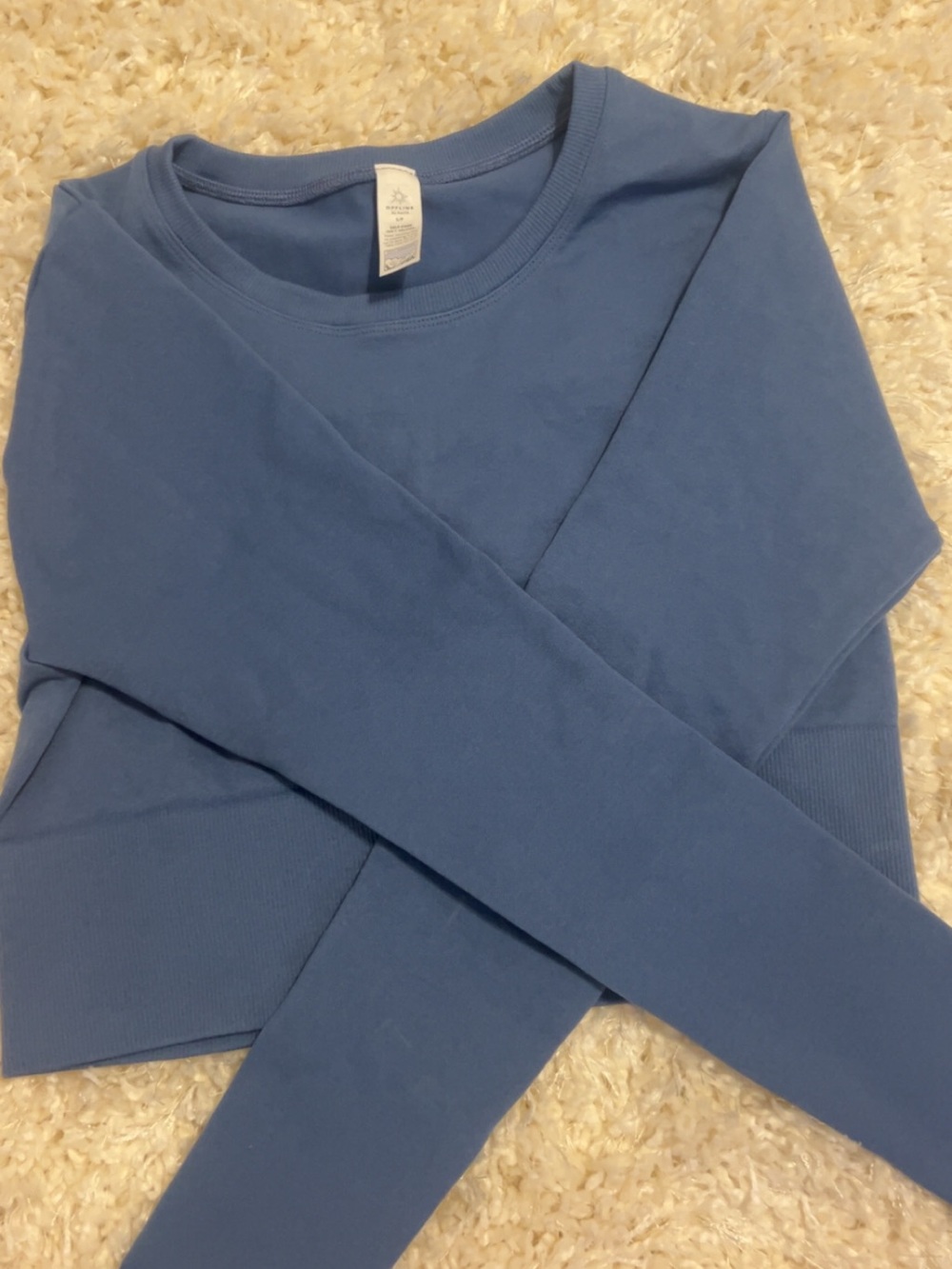 aerie Blue Long-Sleeve Crop Top